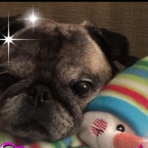 Meet your Posher, Brad